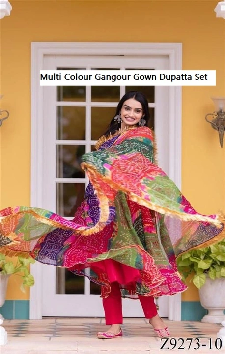 Multi Colour Gangour Gown Dupatta Set uploaded by business on 9/8/2023