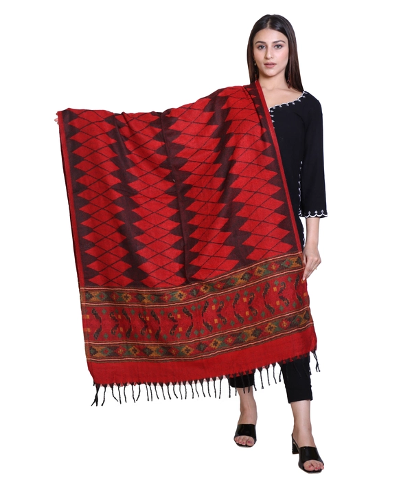 Woollen kullu shawl uploaded by business on 9/10/2023
