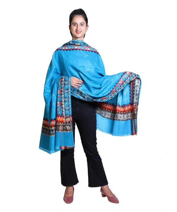 Woollen kullu border shawl  uploaded by business on 9/10/2023