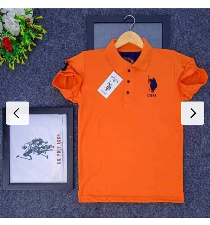 Polo tshirt  uploaded by business on 9/14/2023