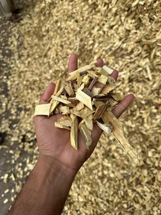 Wood chip uploaded by business on 9/14/2023