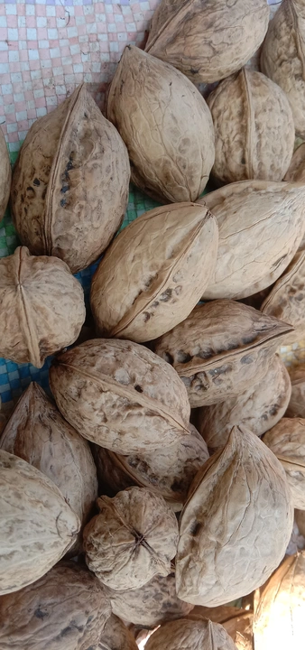 Kashmir walnut  uploaded by Kaizer's Store  on 9/16/2023