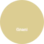 Business logo of Gnani