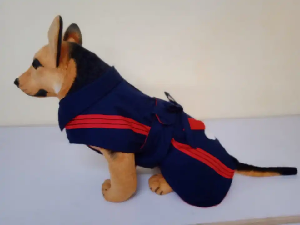 Dogs jacket  uploaded by S A garmant on 9/24/2023
