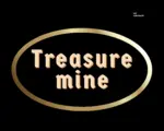 Business logo of Treasure mine