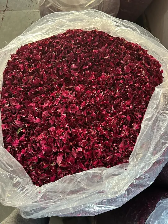Rose petals   uploaded by business on 10/6/2023