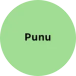 Business logo of Punu