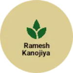 Business logo of Ramesh kanojiya