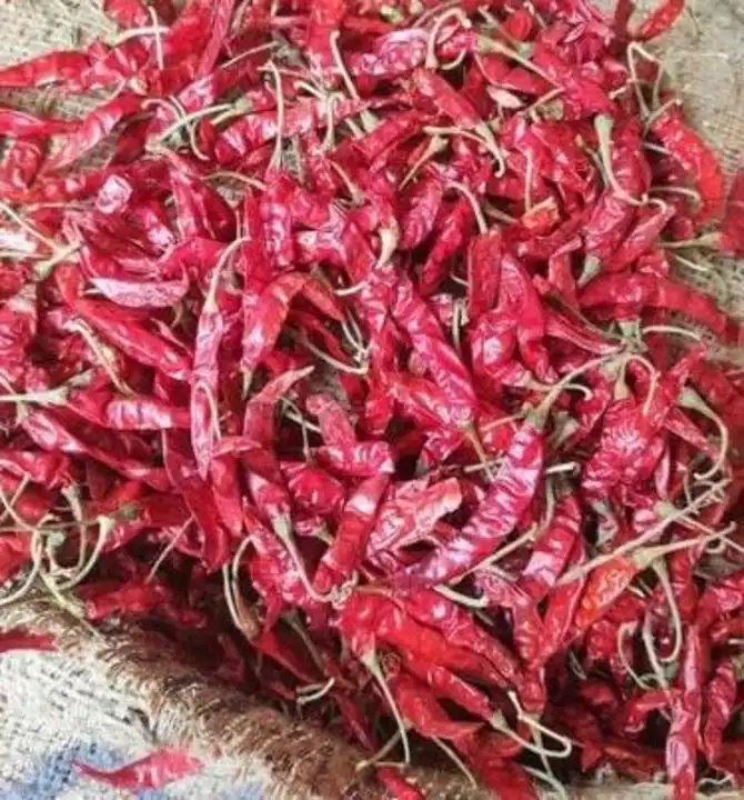 Post image I want 11-50 pieces of Namkeen at a total order value of 10000. I am looking for Red chilli wholesaler ka rat ma Guntur Andhra Pradesh Vijayawada road contact number 7404758192. Please send me price if you have this available.