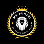 Business logo of Mr. Puneri The Brand Men's Wear 