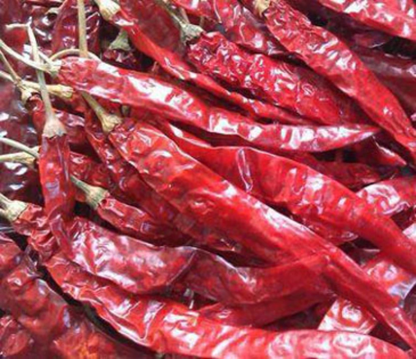 Post image Red chilli wholesale ke rate ma Guntur Andhra Pradesh Vijayawada road contact number 7404758192