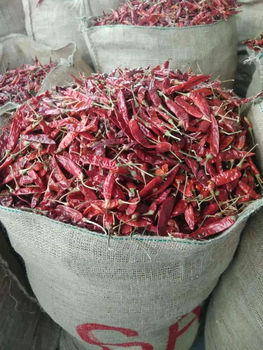 Post image Red chilli wholesaler ka rat ma Guntur Andhra Pradesh Vijayawada road contact number 7404758192
All india delivery