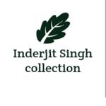 Business logo of Inderjit Singh Collection 