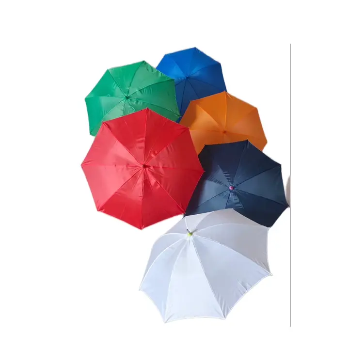 Single colour umbrella  uploaded by business on 10/20/2023