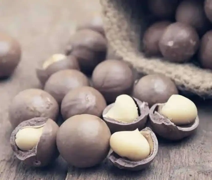 MACADAMIA NUTS  uploaded by business on 10/29/2023