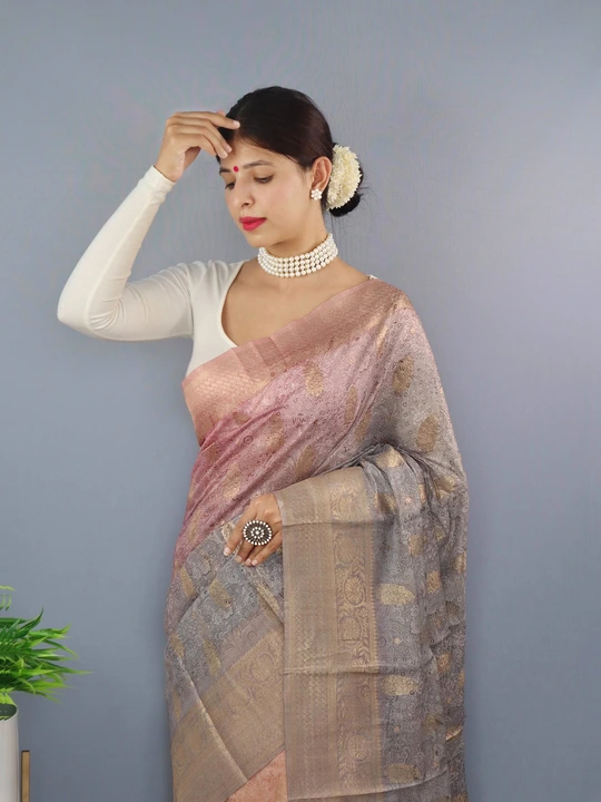 Pure Chanderi Tilak Saree Ts uploaded by business on 10/30/2023