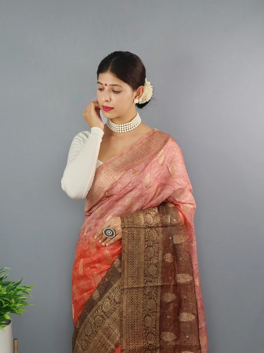 Pure Chanderi Tilak Saree Ts uploaded by business on 10/30/2023