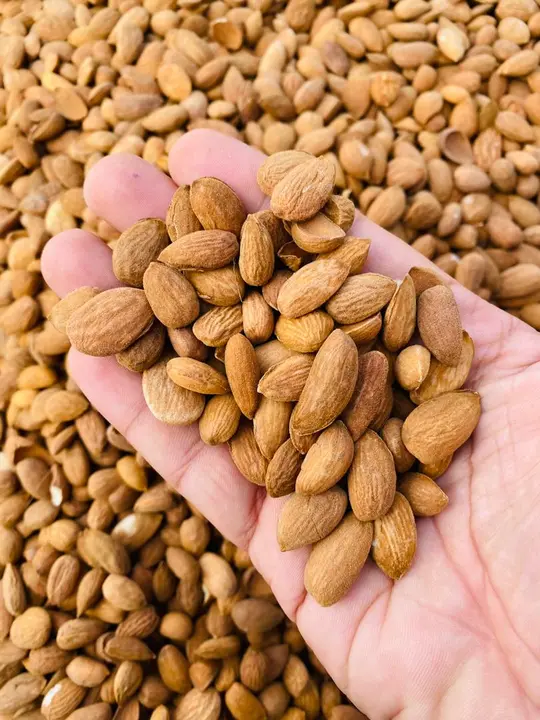 California almonds uploaded by Vi Pro Foods And Nuts Enterprises on 10/31/2023