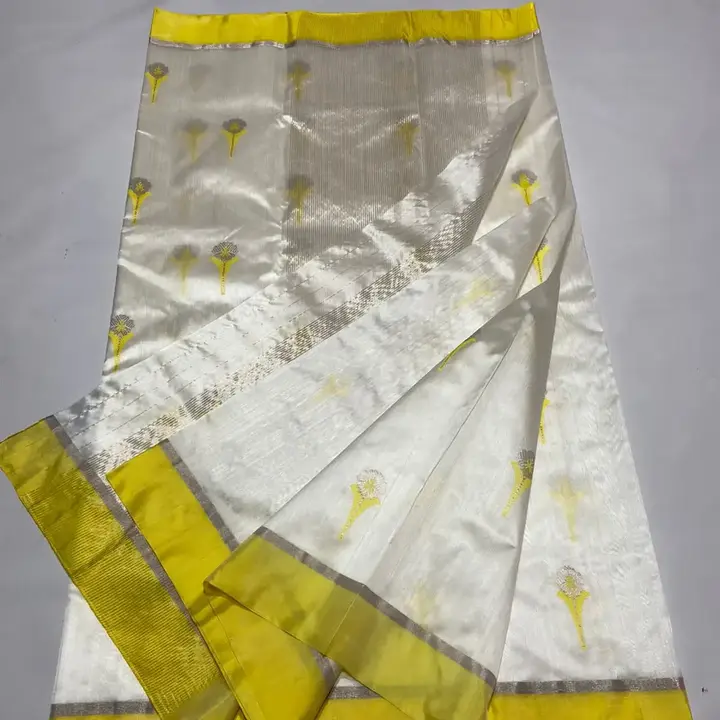 Pure handwoven traditional chanderi pattu silk saree uploaded by Virasat handloom chanderi on 11/2/2023