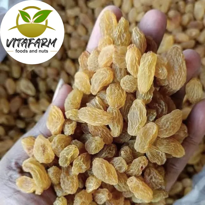 VitaFarm Raisins | Kishmish 1Kg uploaded by Vi Pro Foods And Nuts Enterprises on 11/3/2023
