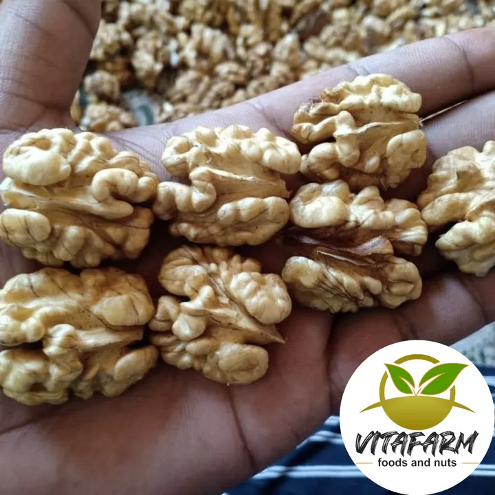 Premium Quality Walnuts | Akhrot  uploaded by Vi Pro Foods And Nuts Enterprises on 11/3/2023