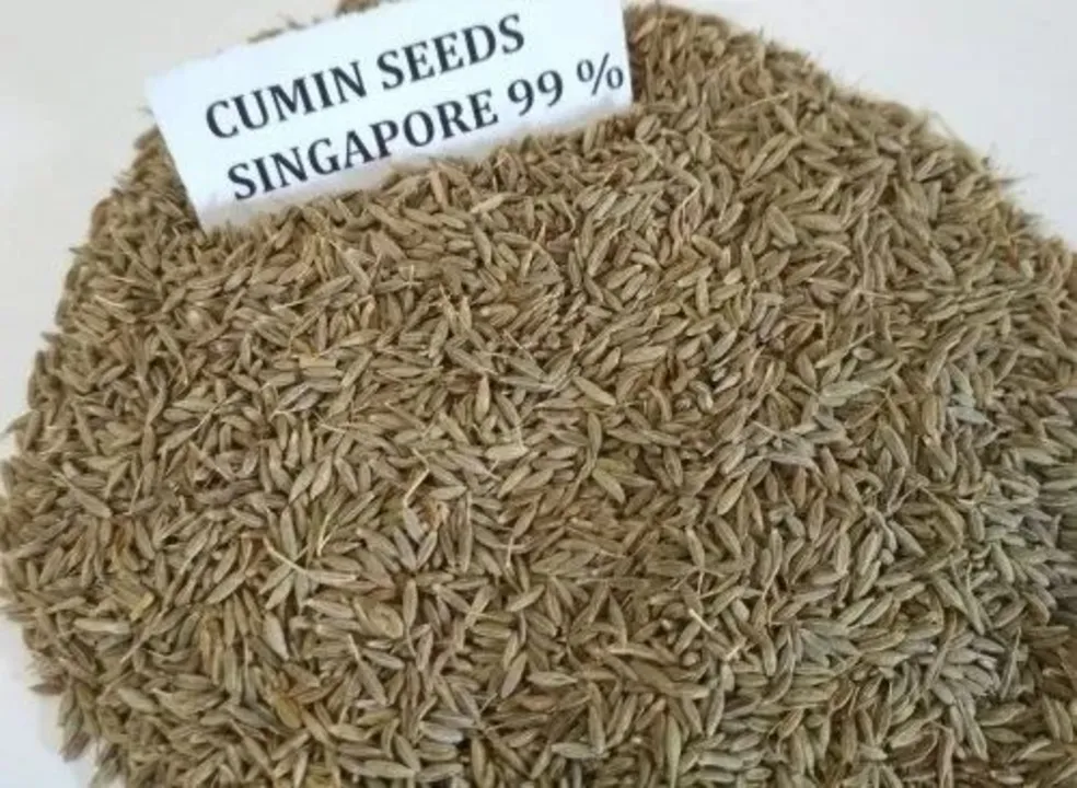 Cumin  uploaded by Kunapareddy exports on 11/17/2023