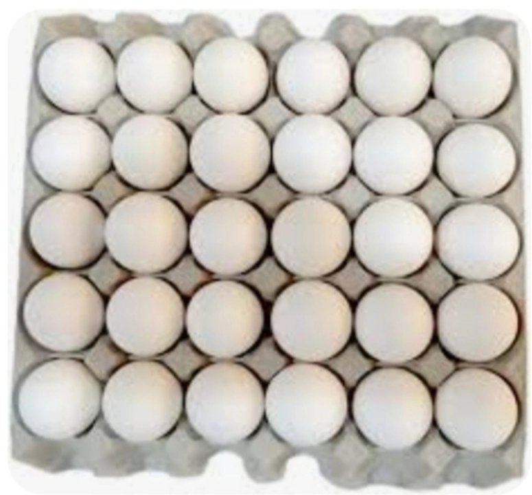 Eggs uploaded by business on 11/22/2023
