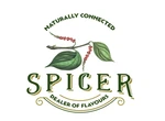 Business logo of SPICER