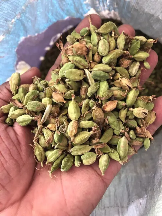 Green Cardamom  uploaded by business on 11/27/2023