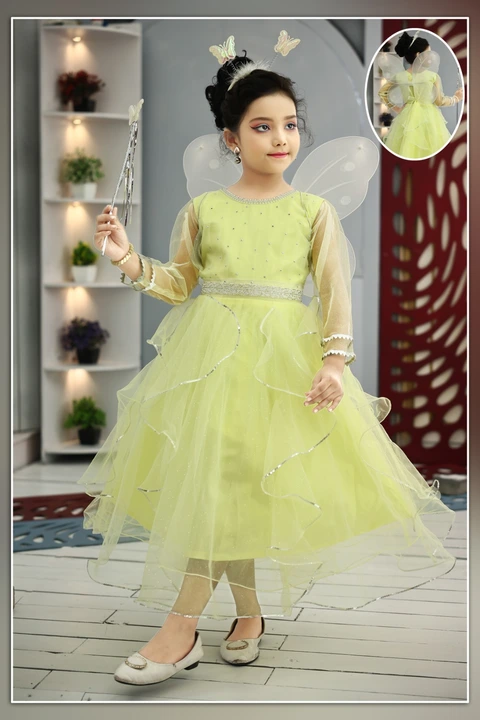 Pari frock  uploaded by business on 11/28/2023
