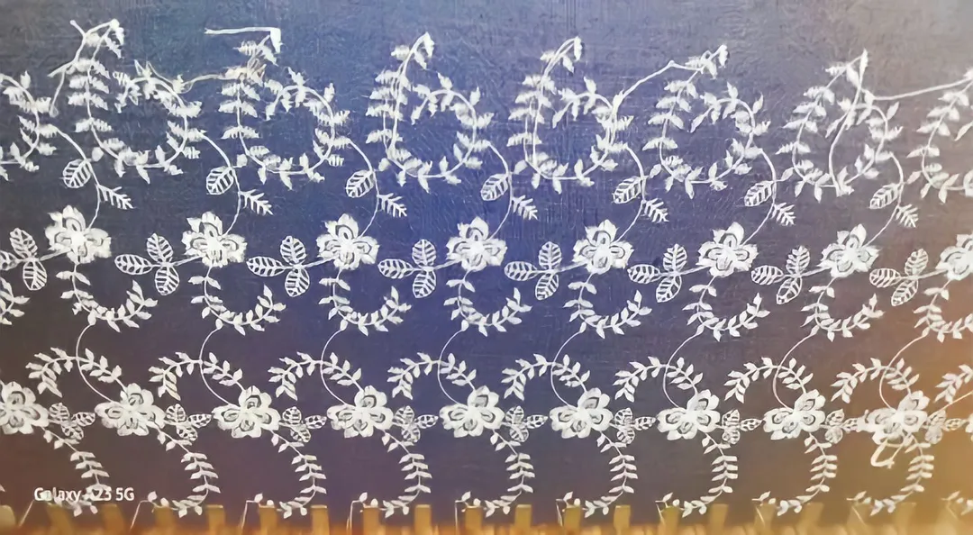 Coloured schifflii embroidery fabric uploaded by Aadishakti enterprises on 12/6/2023