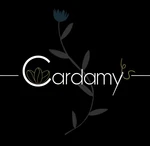 Business logo of Cardamy Fashion