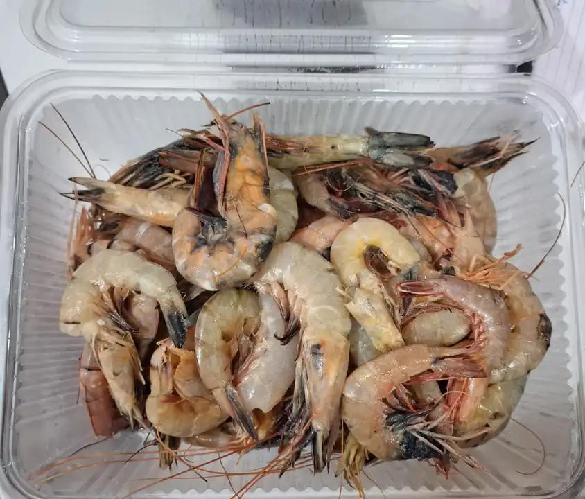 Product uploaded by Pari seafood supplier on 12/21/2023