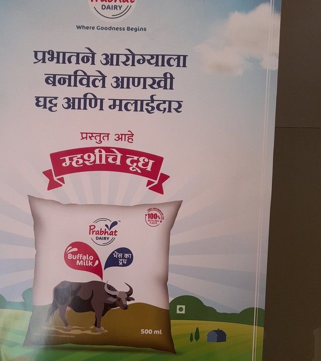 Buffalo milk uploaded by Prabhat milk company on 3/24/2021