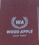 Business logo of Wood apple ethnic wear