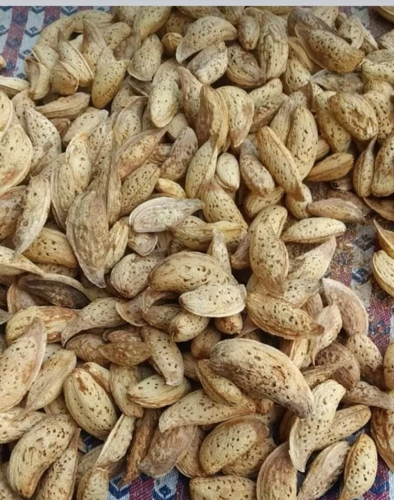 Factory Store Images of Rehmani dryfruits 