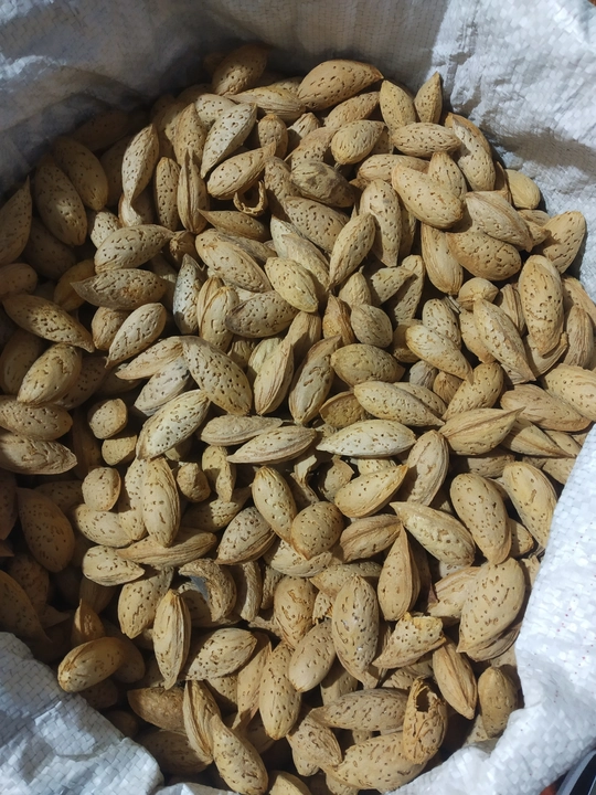 Product uploaded by Rehmani dryfruits  on 12/24/2023
