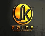 Business logo of Pride traders