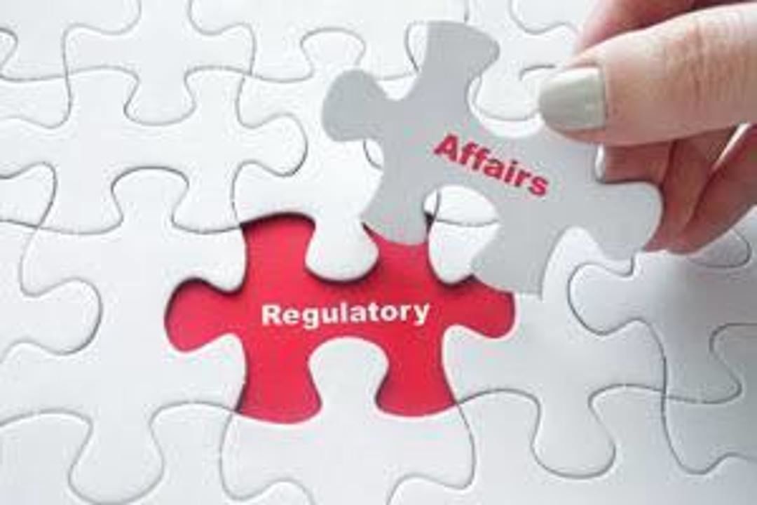 Drug Regulatory Affairs Services uploaded by Seedling RA Solutions on 7/18/2020