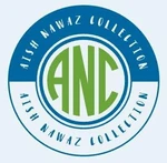 Business logo of Aish Nawaz Collection