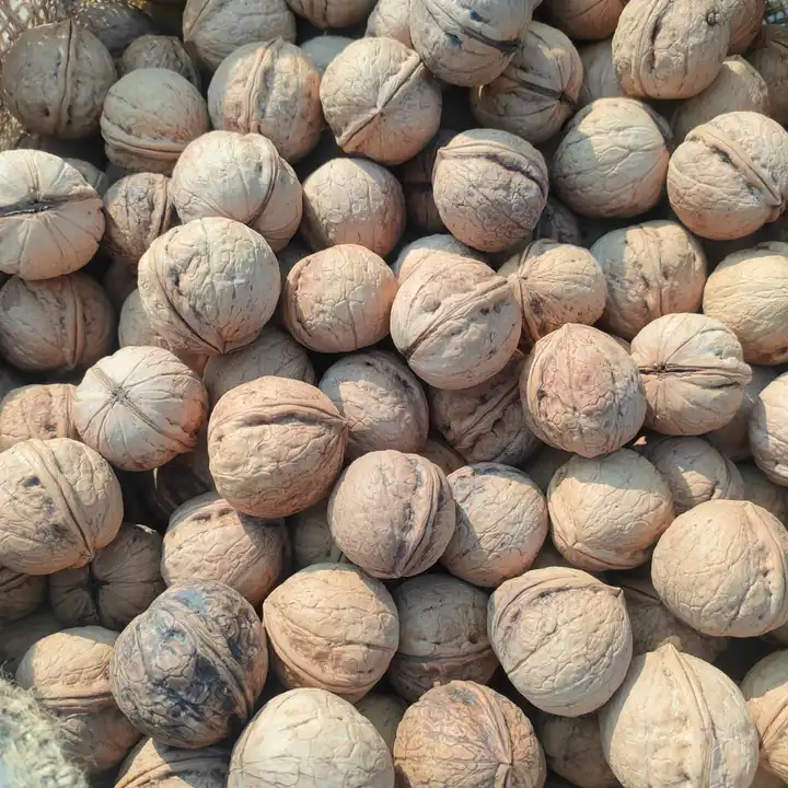 Walnuts uploaded by business on 1/2/2024