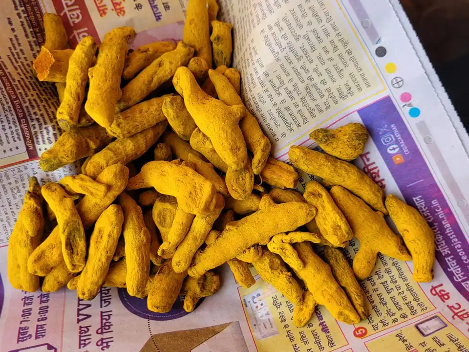 Turmeric finger  uploaded by Bharat Foods Company on 1/6/2024