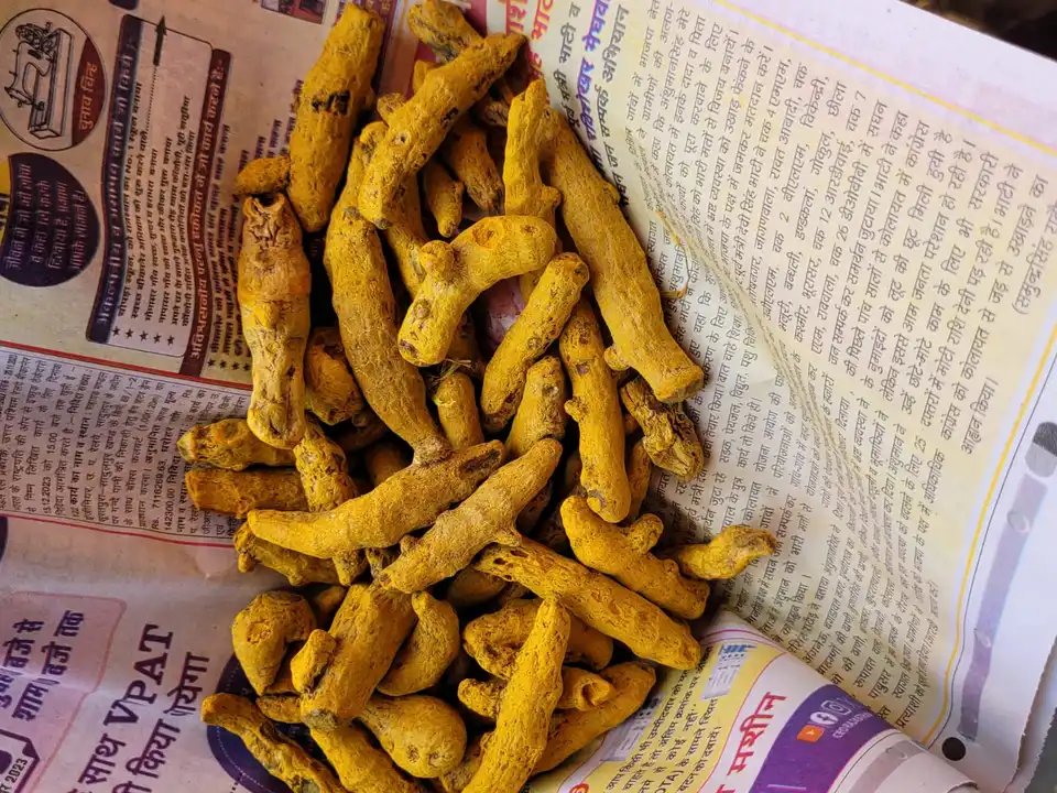 Turmeric finger  uploaded by Bharat Foods Company on 1/6/2024