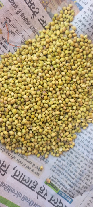 Product uploaded by Bharat Foods Company on 1/6/2024