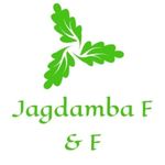 Business logo of Jagdamba F&F