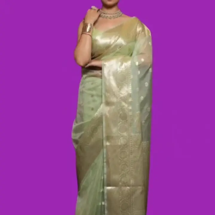 ORGANZA DAYBEL SAREES  uploaded by Aj creation on 1/18/2024
