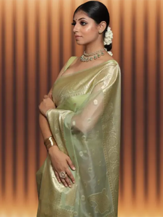 ORGANZA DAYBEL SAREES  uploaded by Aj creation on 1/18/2024