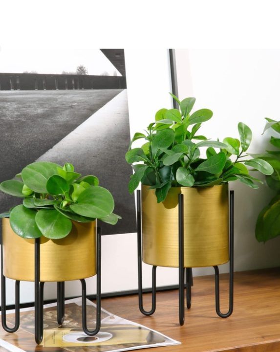 Planter Pots with Stands, Modern Flower Pot, Mid Century Living Room Decor

 uploaded by Neumark impex on 1/19/2024