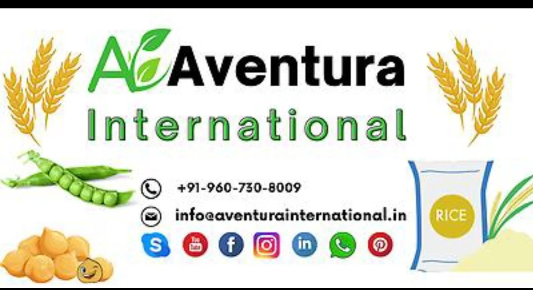 Shop Store Images of Aventura International