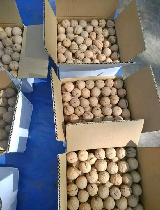 Kashmir walnuts  uploaded by Kaizer's Store  on 1/21/2024